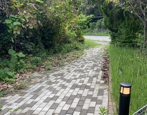シャワー、トイレ棟までの道