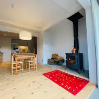 ติดตั้งเตาผิงในเดือนมกราคม 2023