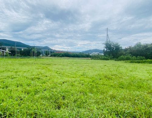 外は開放的な景色です