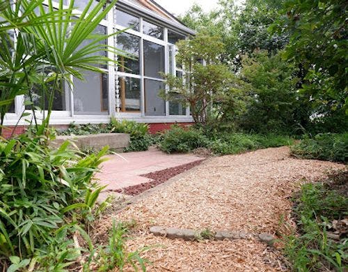 多様な植物が共存する庭です