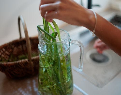 お庭のハーブでハーブウォーター