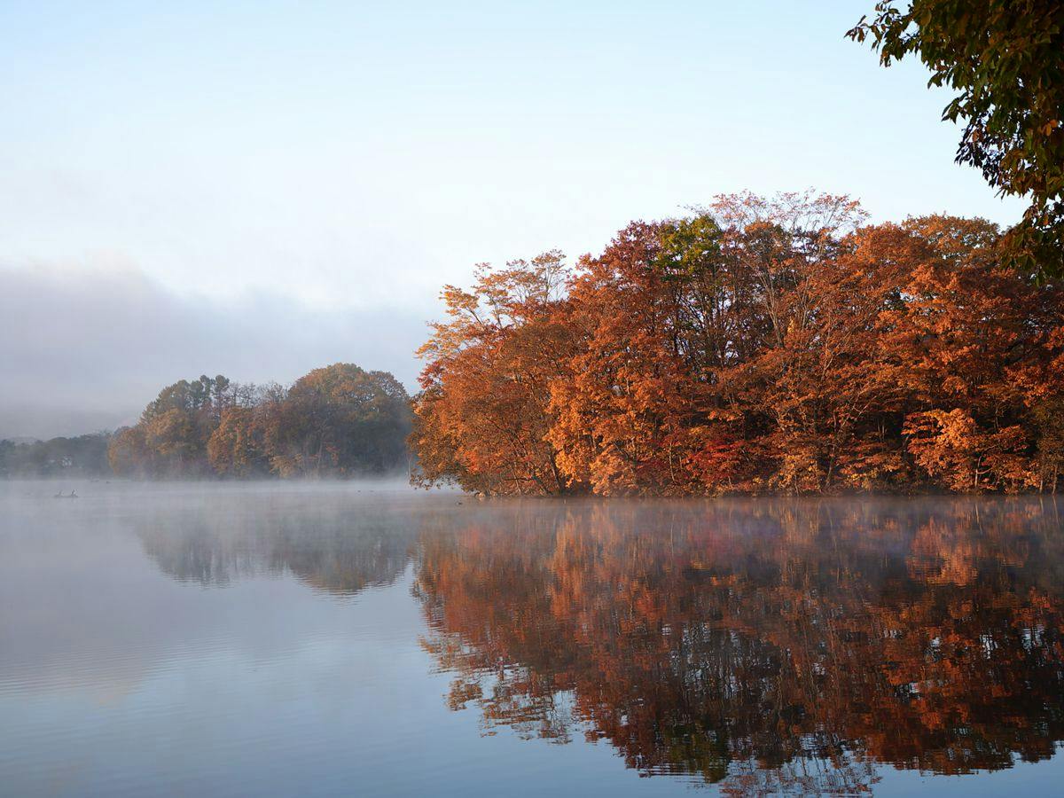 Lakeside Hotels Kuore
