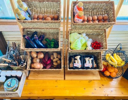 旬の野菜&フルーツ