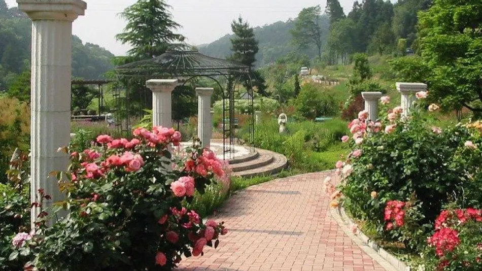 Auberge of the June Forest