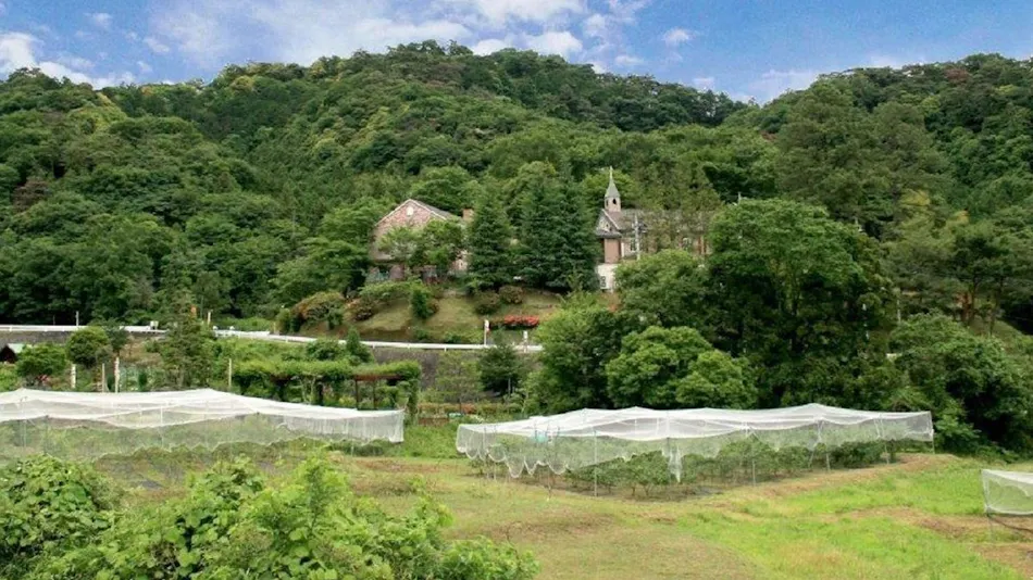 Auberge of the June Forest