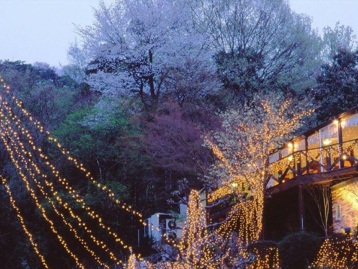 Auberge of the June Forest
