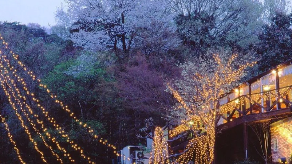 Auberge of the June Forest