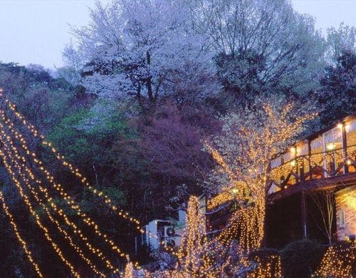 イルミネーション