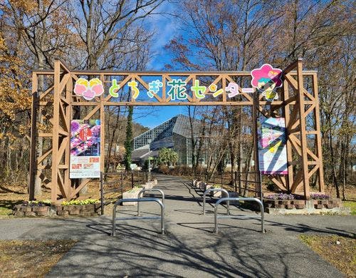 とちぎ花センターまで車で約15分！