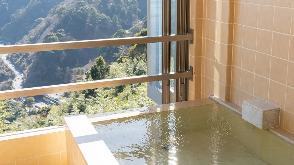 Atami View Resort