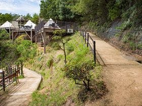 てんとうみ　渋川海岸グランピング