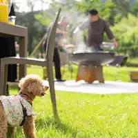 ดอตสึกรัน (ภาพ)