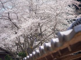 里山ホテルかねのね丹波