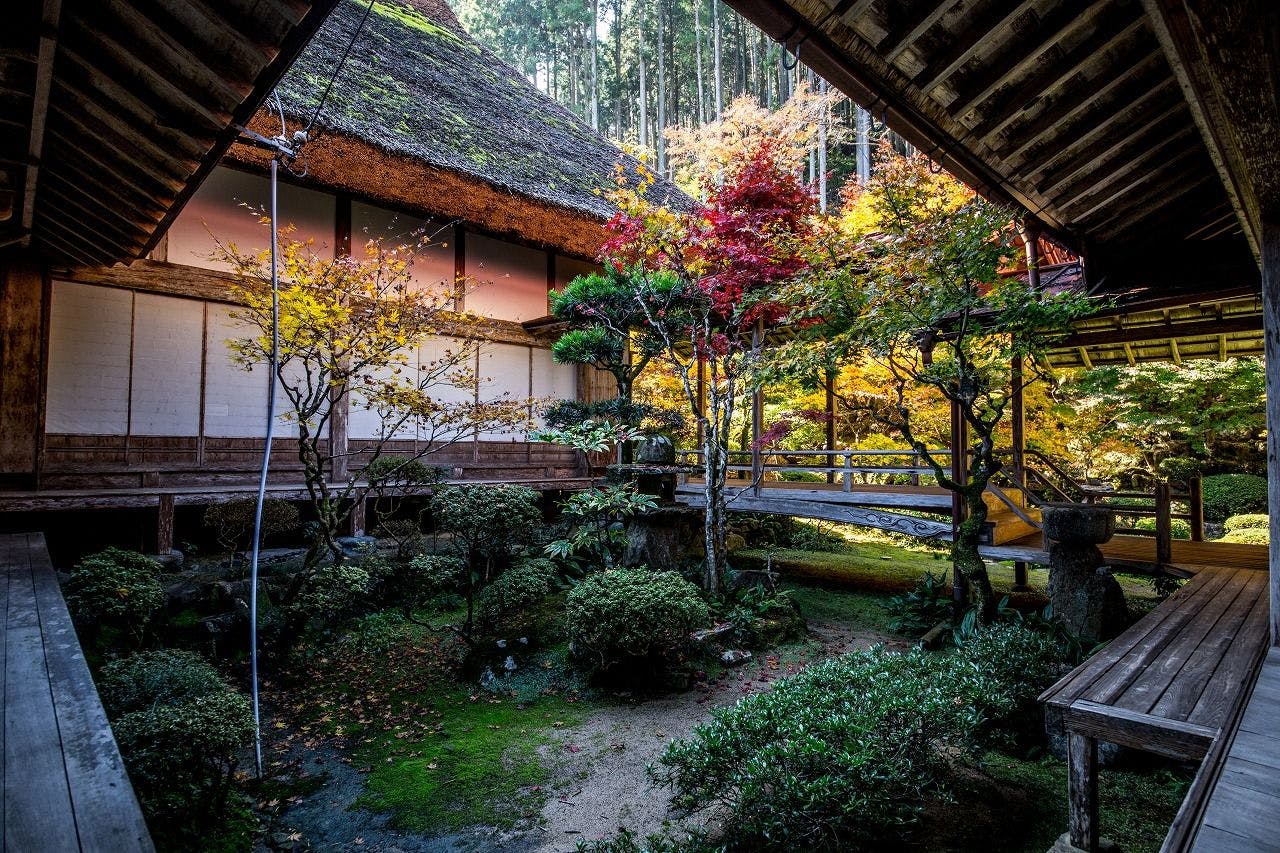 ใบไม้เปลี่ยนสี