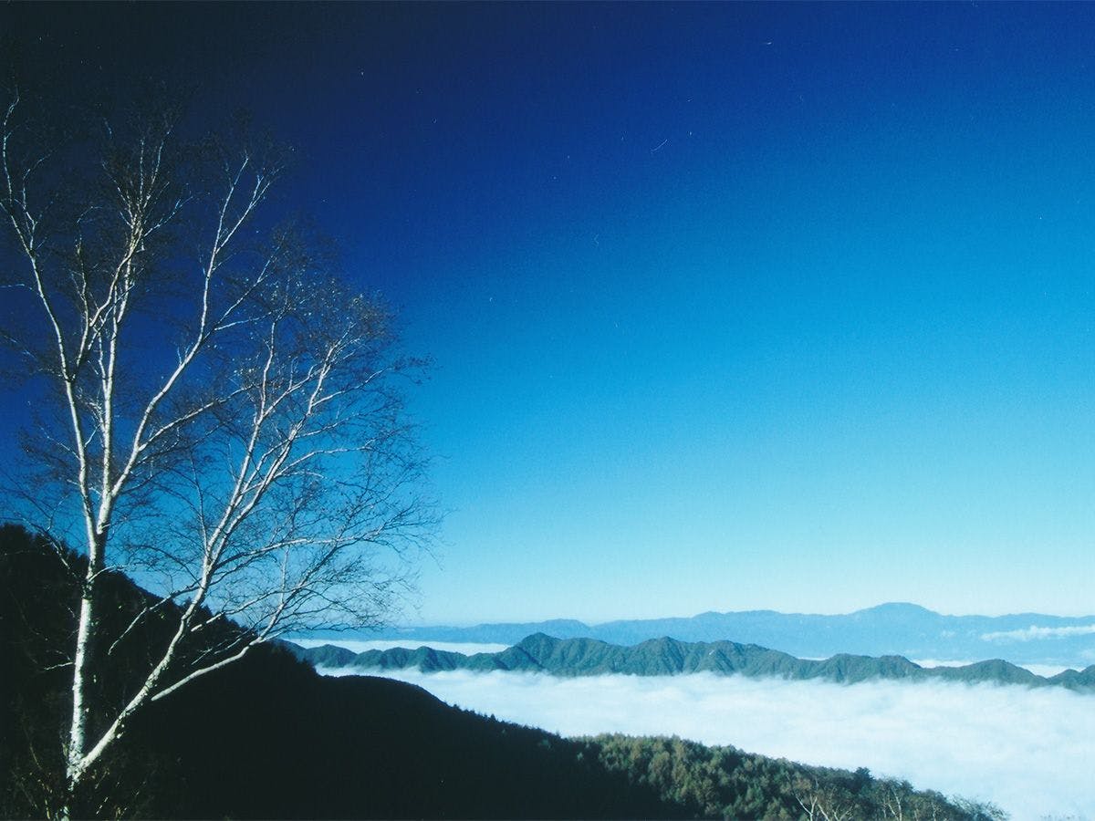 Shirabiso Plateau Milky Way