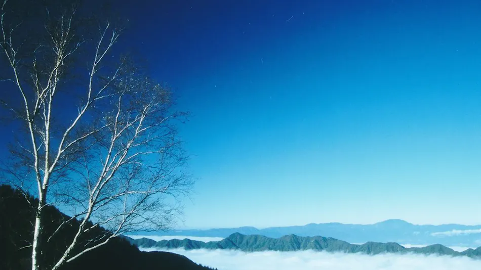 Shirabiso Plateau Milky Way