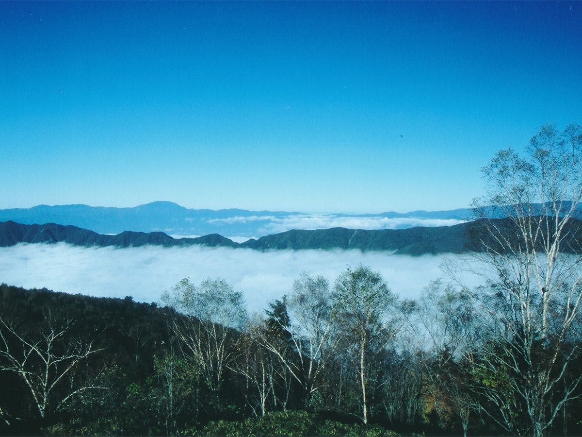 Shirabiso Plateau Milky Way