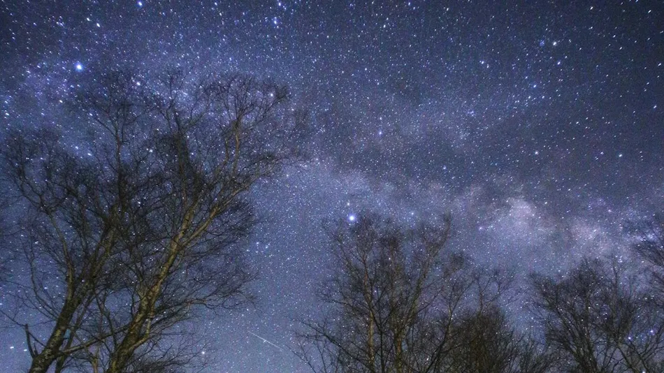 Shirabiso Plateau Milky Way