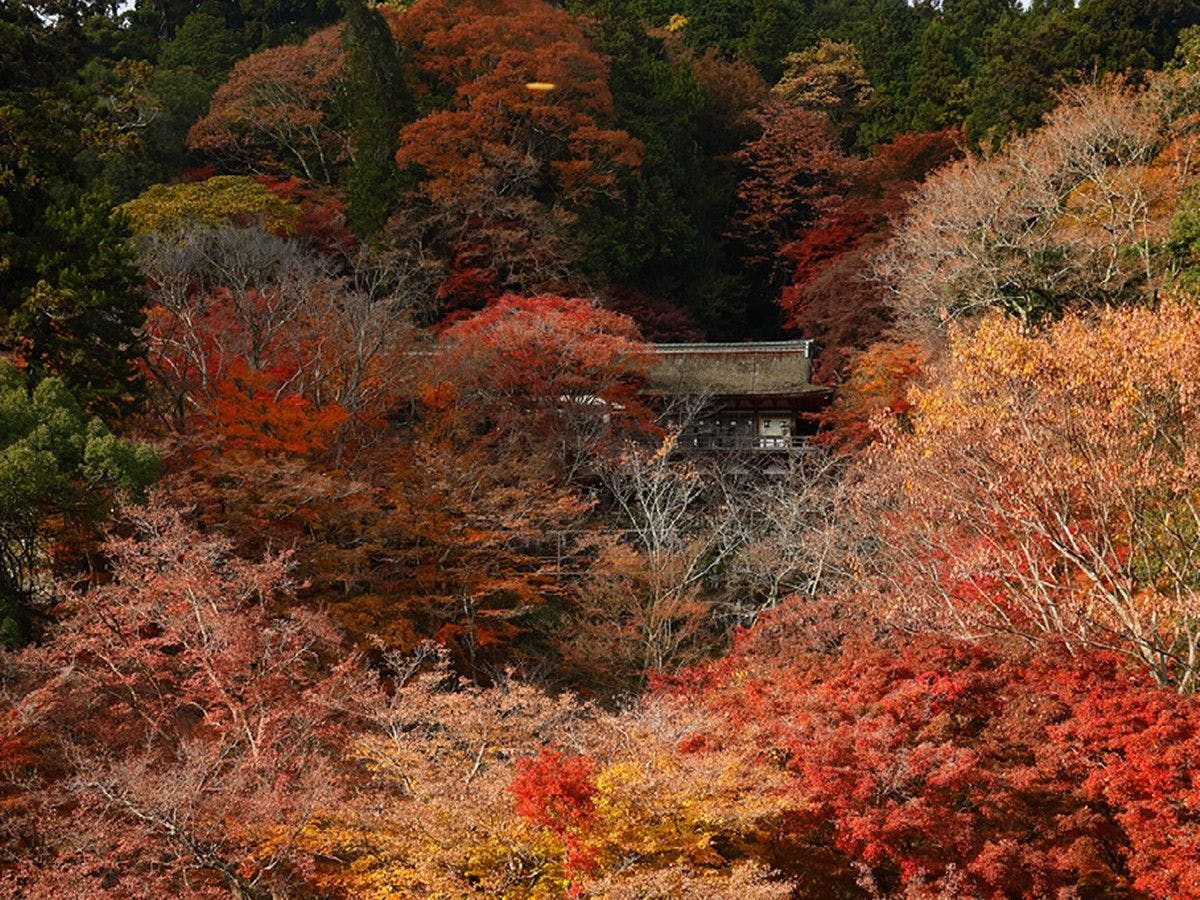 Tounomine Kanko Hotel