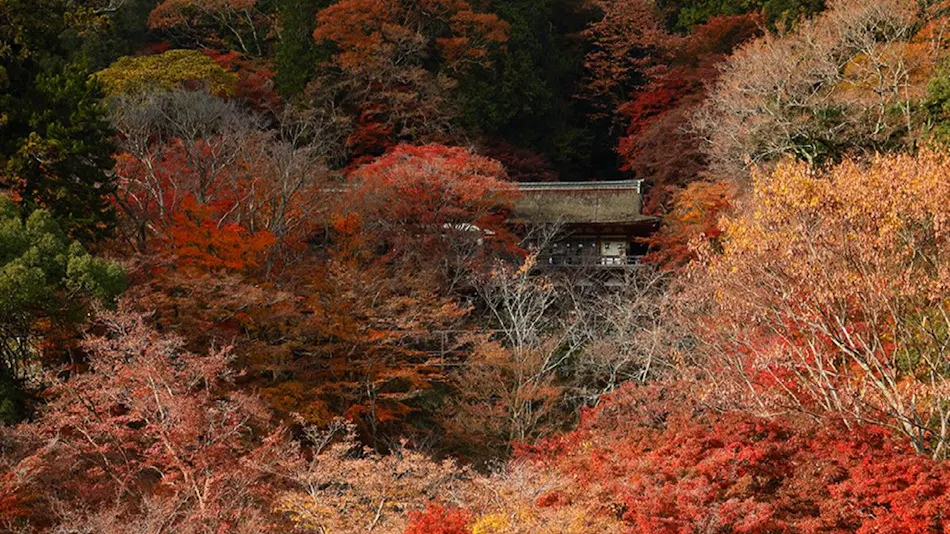 Tounomine Kanko Hotel