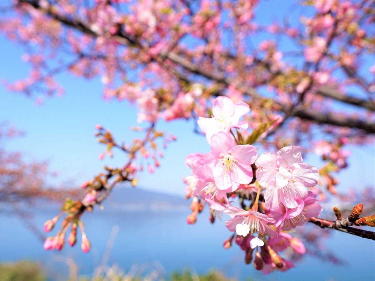 Setouchi Resort Vessel Ochi