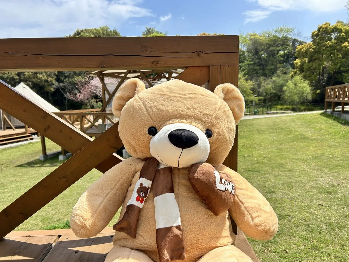 貝爾君