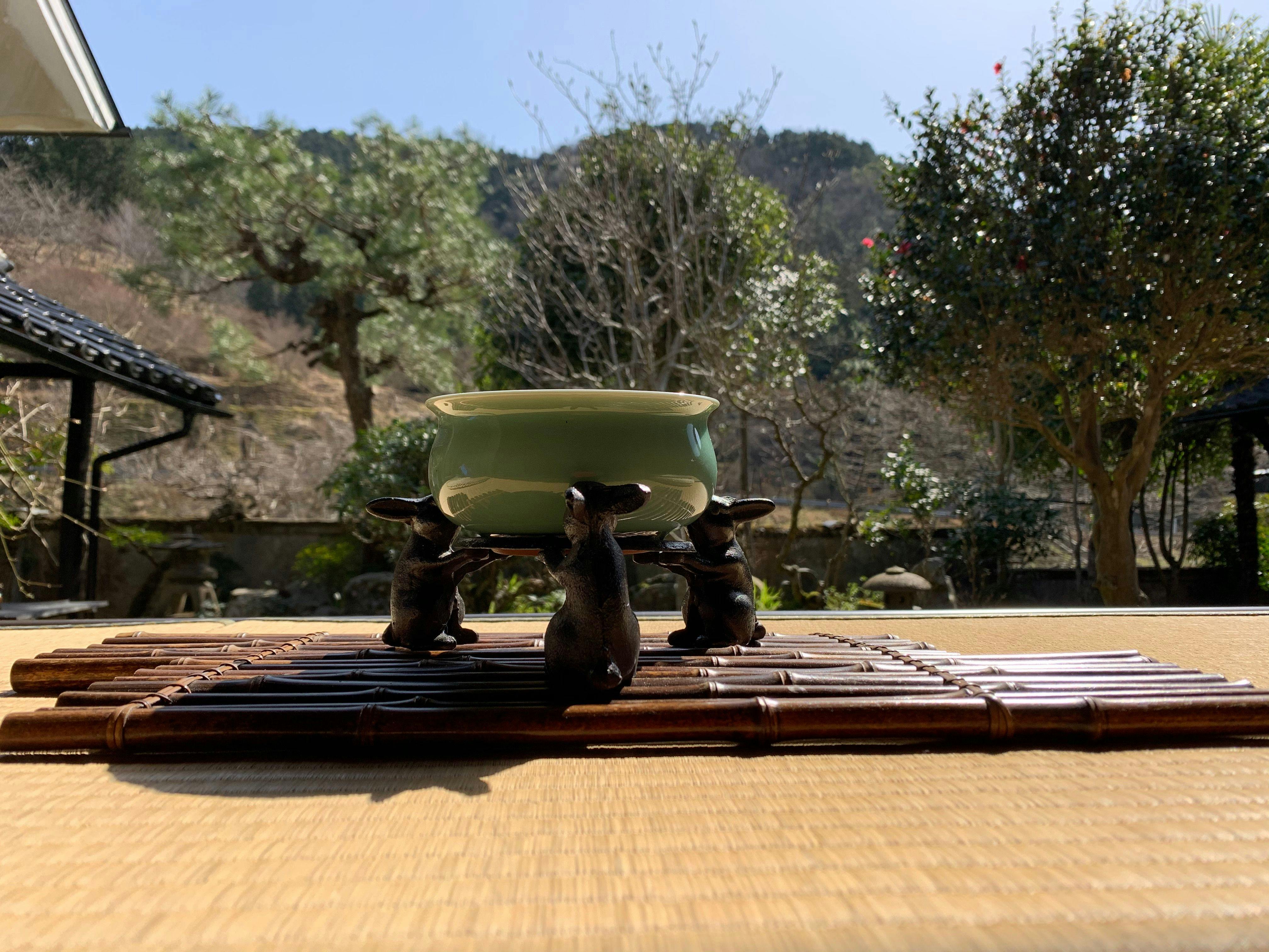 Menikmati alam semula jadi di serambi.