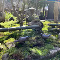 Taman lumut yang bersinar