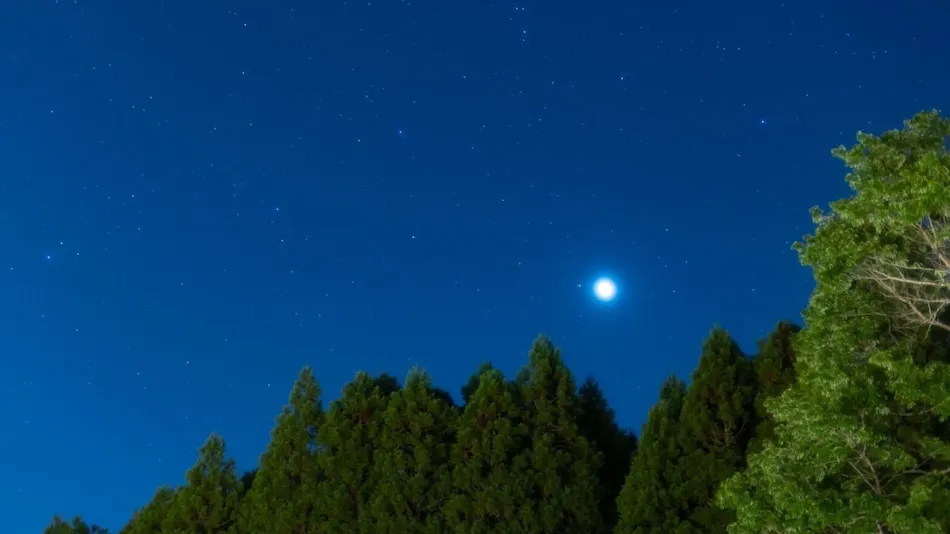 Yufuin Onsen Glamping Kaze no Hibiki