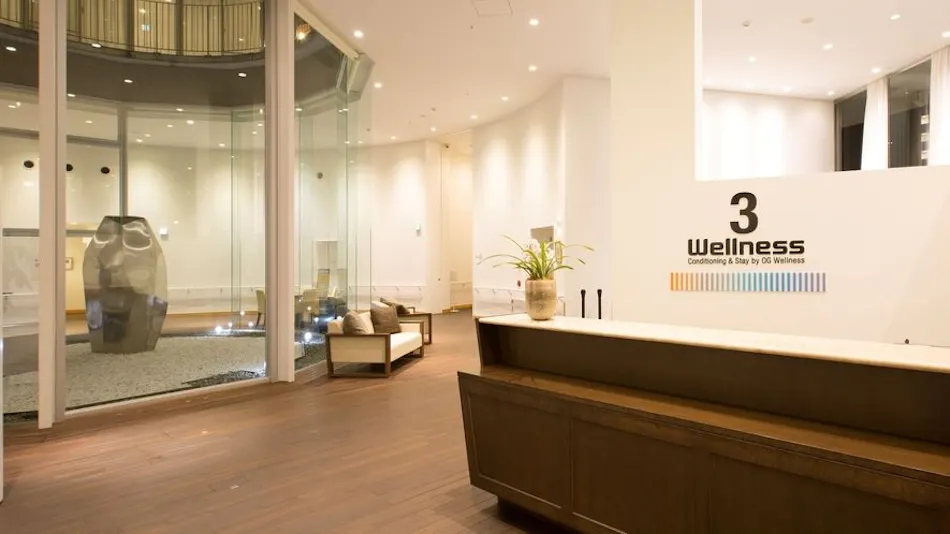 3 Wellness