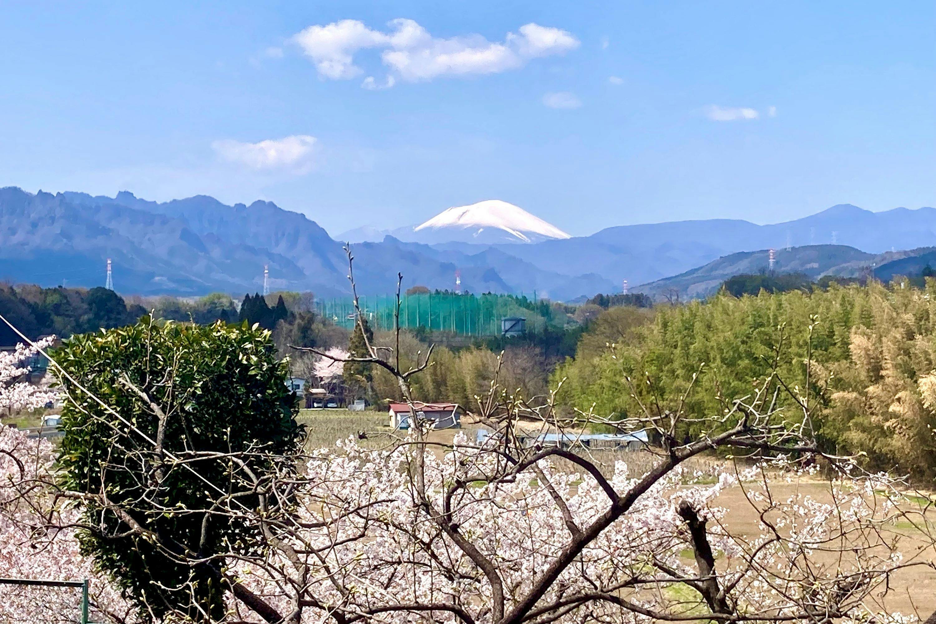 Vacation Villa "Mitsuba-tei"