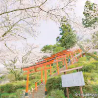 【Wisata Sekitar / Kota Ukiha / Kuil Ukihainari②】