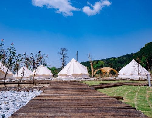 【コットンテントエリア】