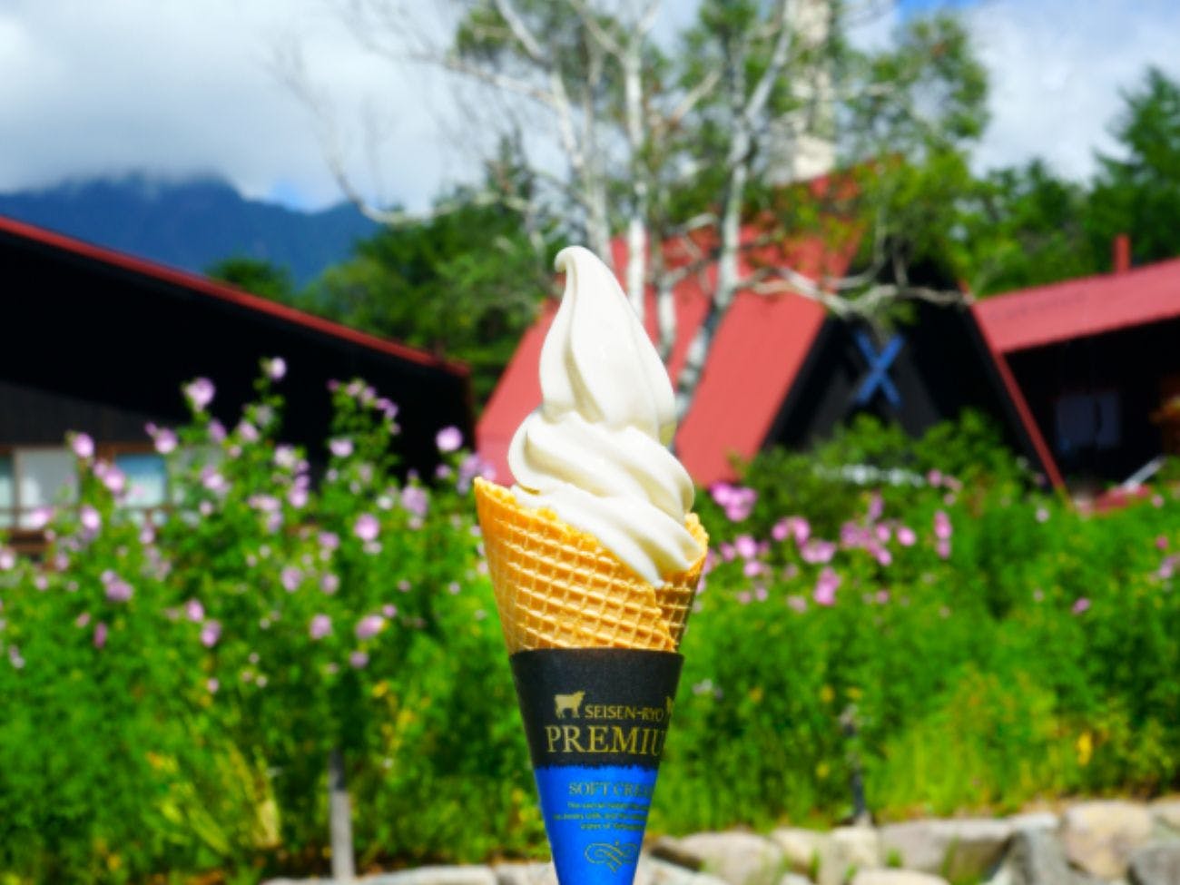 ไอศกรีมซอฟต์เสิร์ฟพรีเมียม