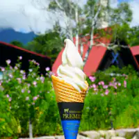 Aiskrim lembut premium istimewa