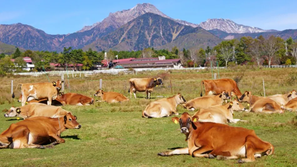 Yatsugatake Kiyosato Highland Seisenryo Hotel & Cottages