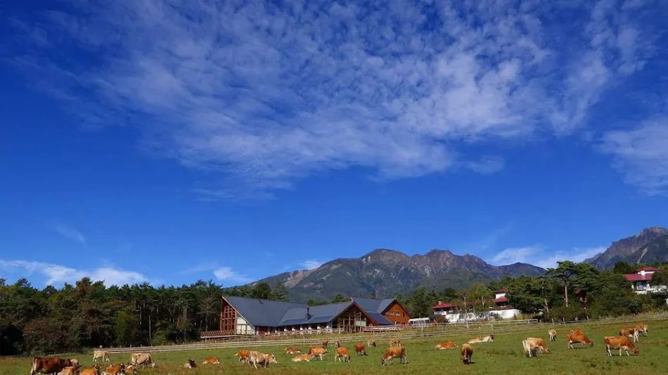 Yatsugatake Kiyosato Highland Seisenryo Hotel & Cottages