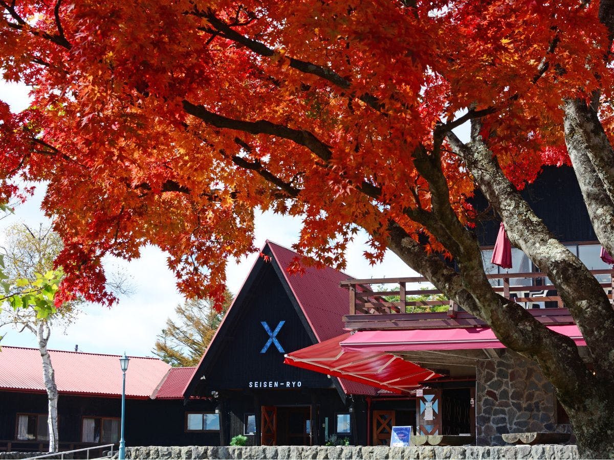 Yatsugatake Kiyosato Highland Seisenryo Hotel & Cottages