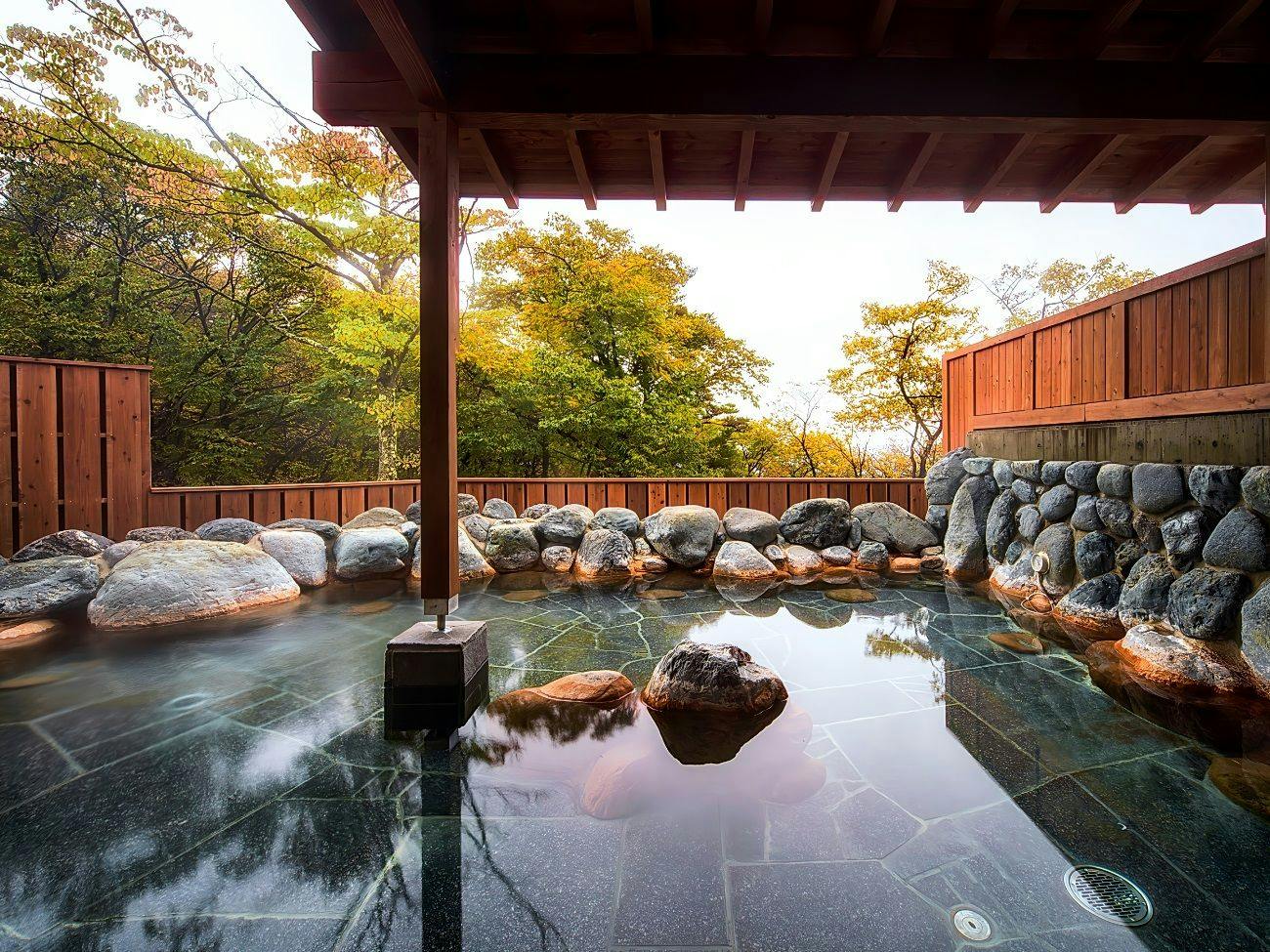 Yatsugatake Kiyosato Highland Seisenryo Hotel & Cottages