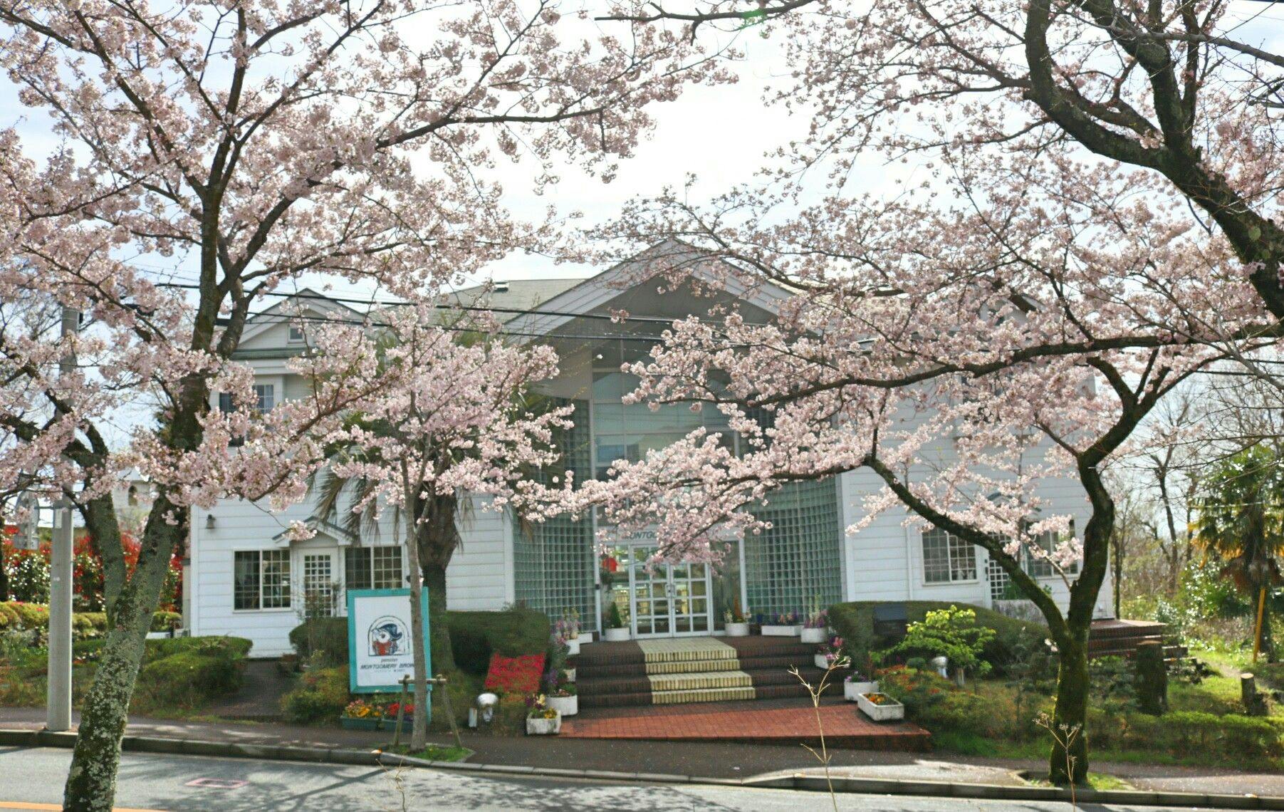 施設画像