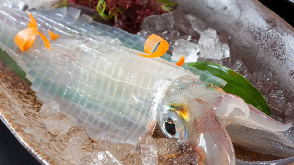 Chinzei Town National Lodge Hado Cape