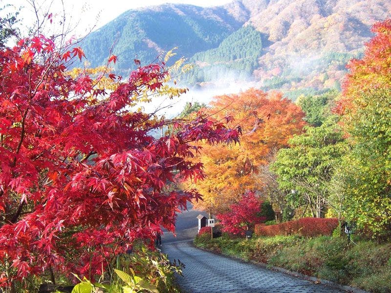 Green Hills Souan