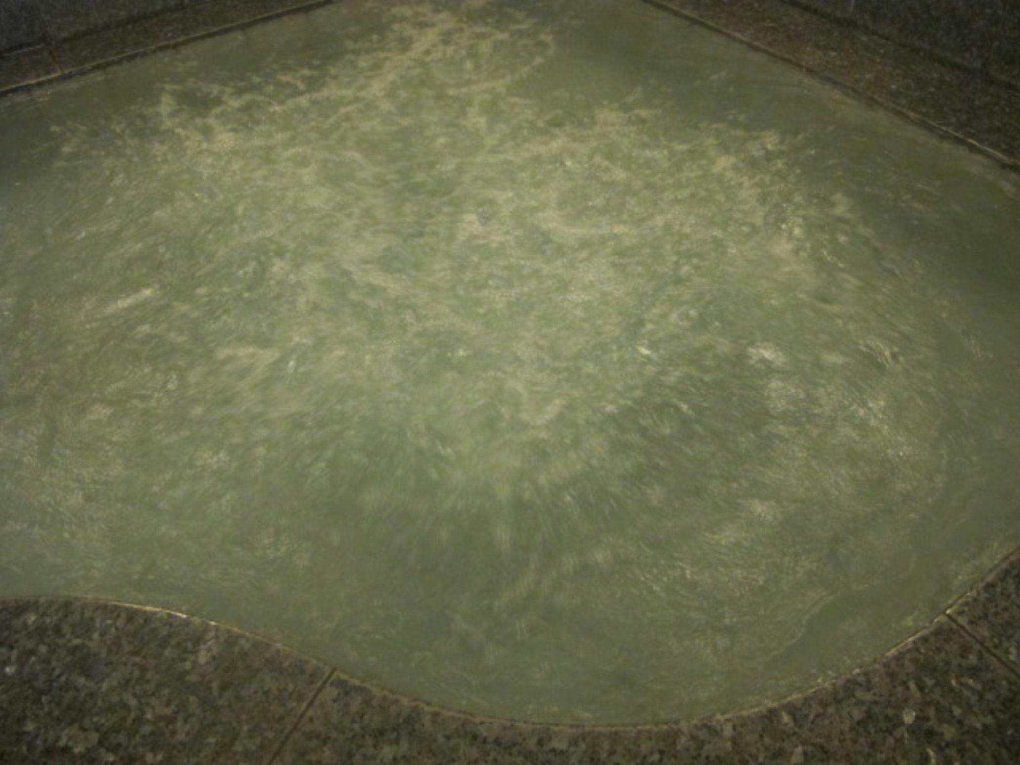 Nanki Shirahama Onsen Minshuku A Course