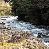 狩野川*