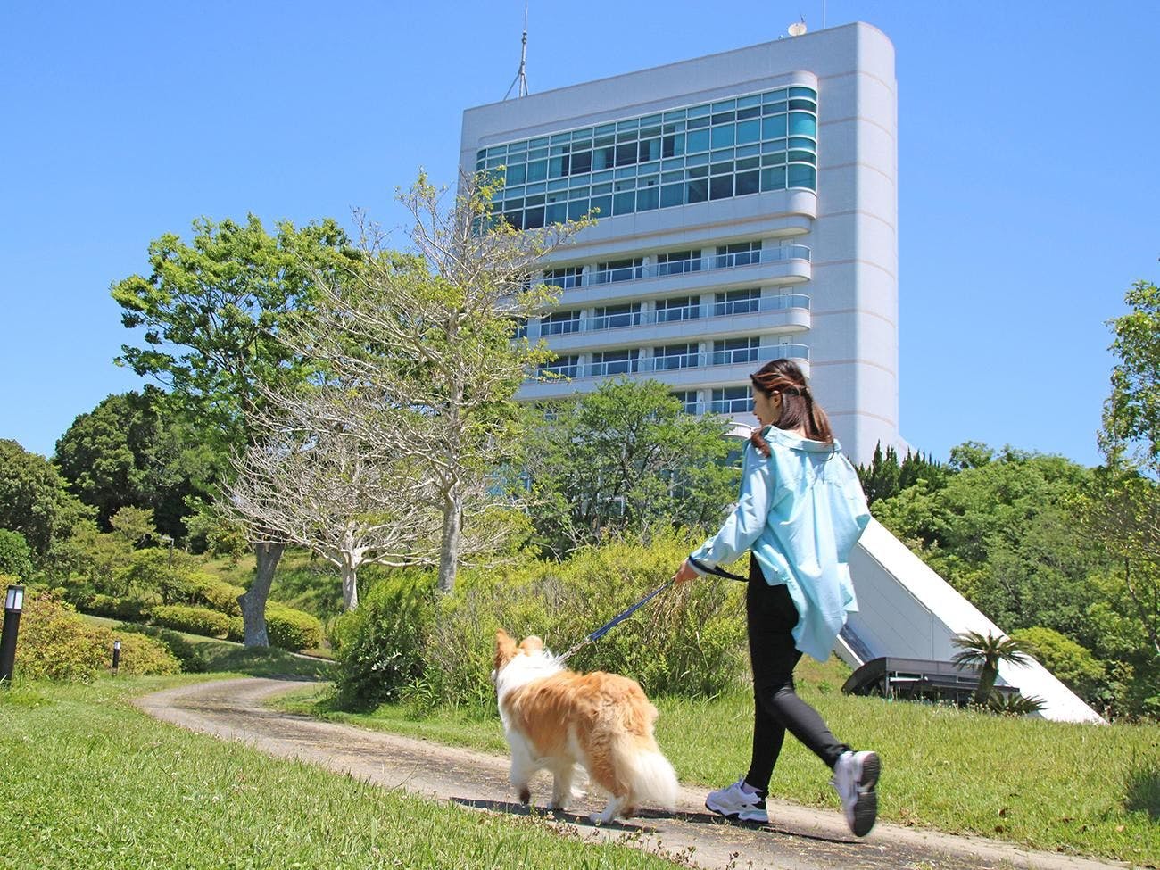 Elegant time with your beloved dog in a spacious area
