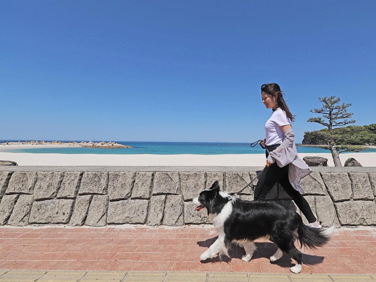 Wan WanParadise Premier Nanki Shirahama