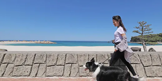 Wan WanParadise Premier Nanki Shirahama