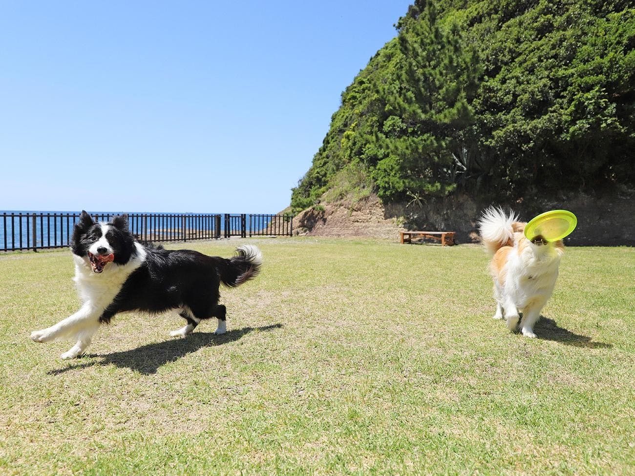 Tourist Spot 【Bansho-yama Park】