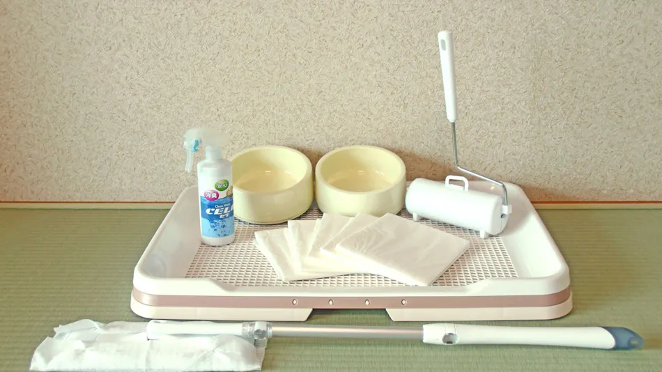 Wan WanParadise Premier Nanki Shirahama