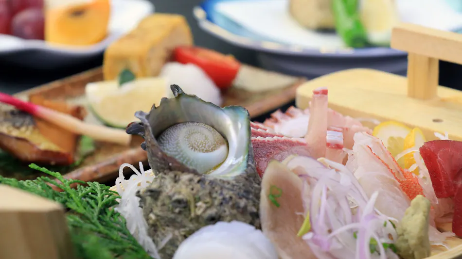 Minshuku Horaisou <Iki Island>